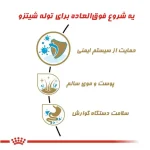 غذای خشک توله سگ