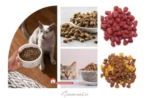 غذای خشک گربه چگونه درست میشود؟
