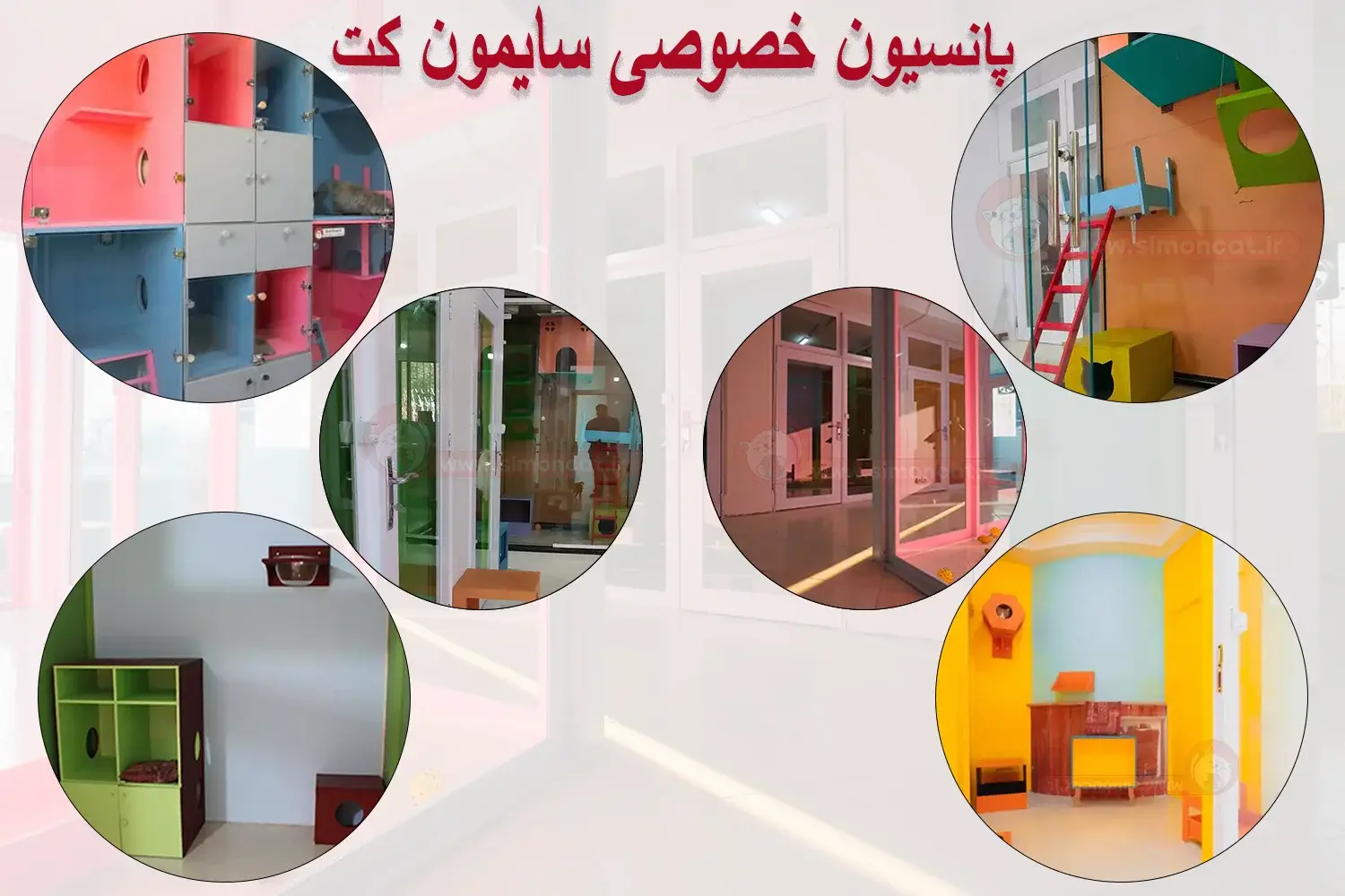 پانسیون خصوصی گربه سایمون کت