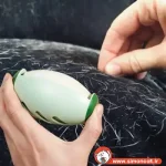 پرزگیر به شکل تخم مرغ