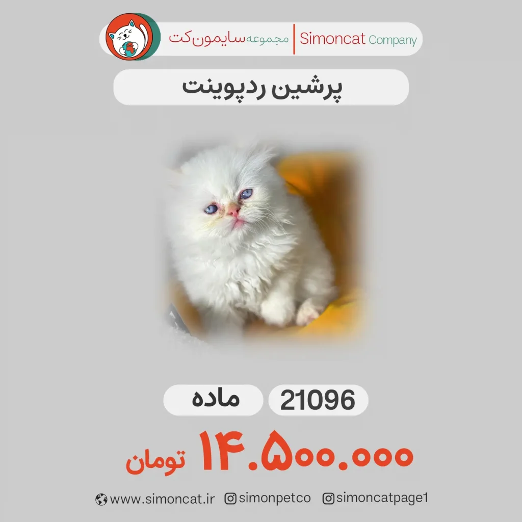 پرشین ردپوینت