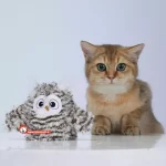 گربه و جغد رقصنده