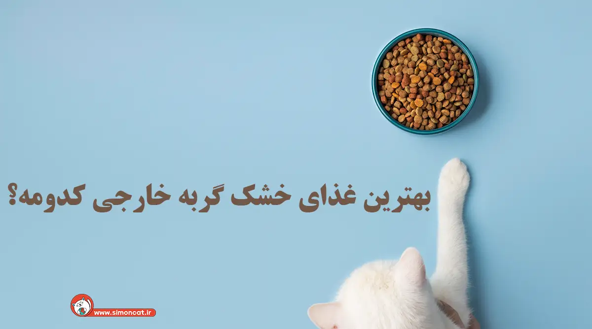 بهترین غذای خشک گربه خارجی