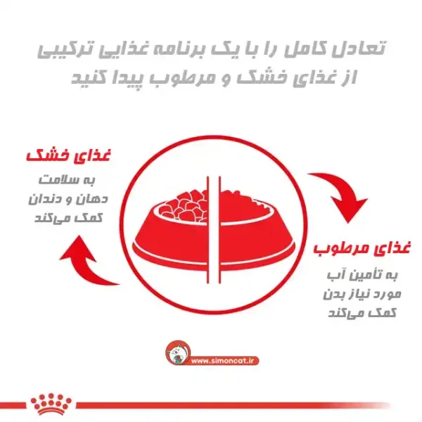 ترکیب غذای خشک و تر