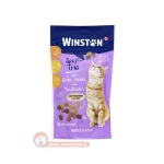 تشویقی بیسکوییتی وینستون