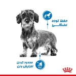 خواص غذا خشک لایت ویت