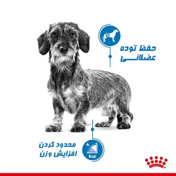 خواص غذا خشک لایت ویت