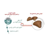 غذای خشک گربه رویال کنین مدل Hairball Care