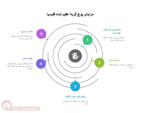 مزایای پوچ گربه عقیم شده فلیشیا