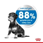 وزن ایده‌آل سگ ها