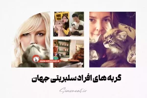 گربه های افراد سلبریتی جهان
