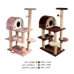 اسکرچر انواع نژاد گربه