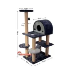 اسکرچر و لانه گربه