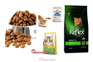 تشخیص غذای خشک گربه اصل