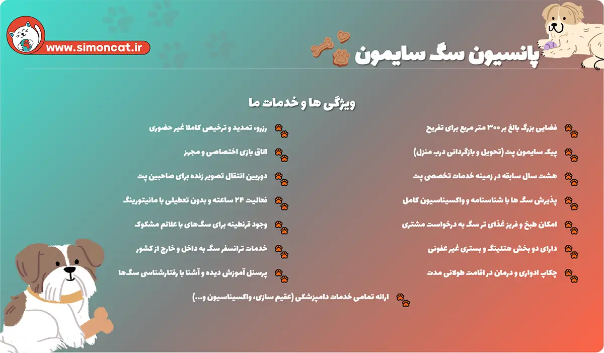 خدمات پانسیون سگ سایمون