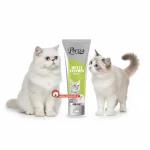 خمیر مولتی ویتامین انواع نژاد گربه