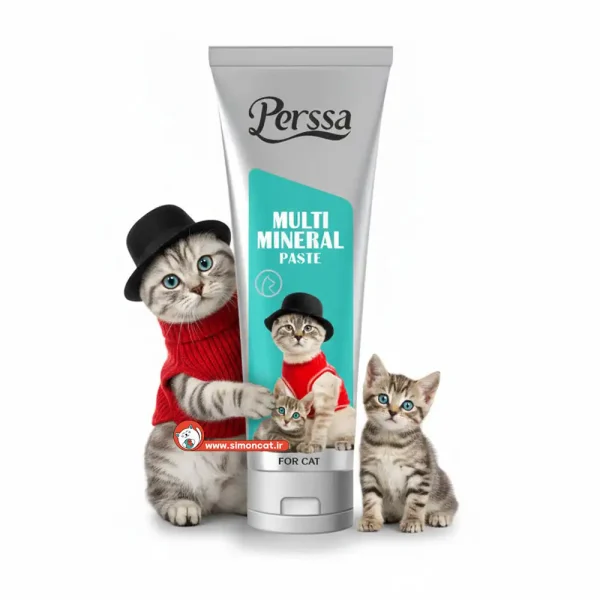 خمیر مینرال گربه Persa