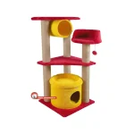 درخت گربه کدیپک