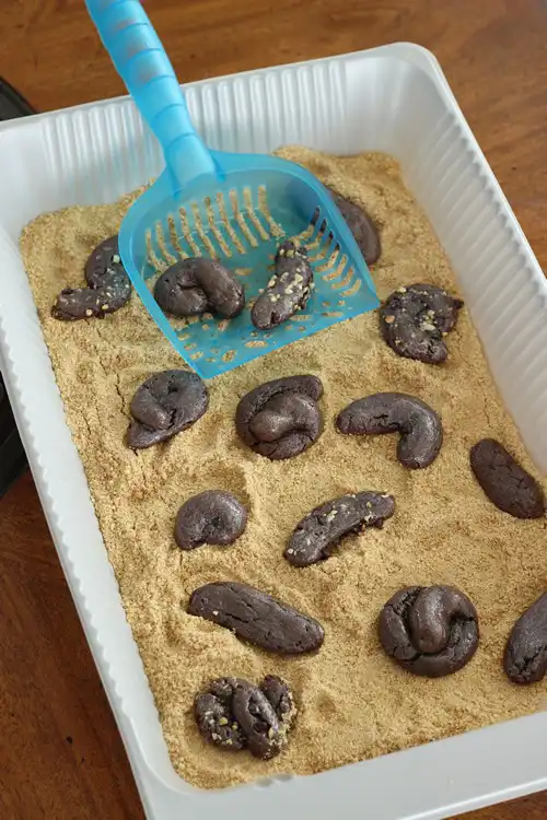 مدفوع گربه های خانگی