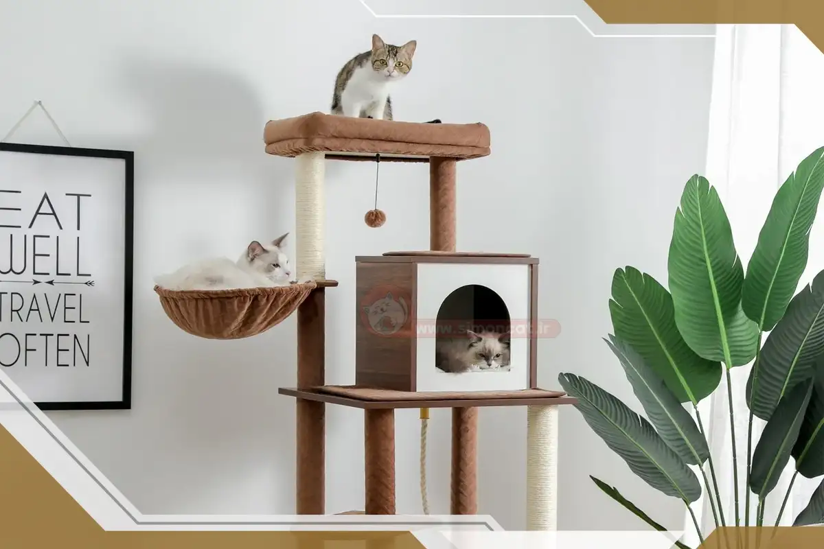 مقاومت در برابر خراش و اسکرچر