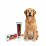 مکمل مخصوص سگ