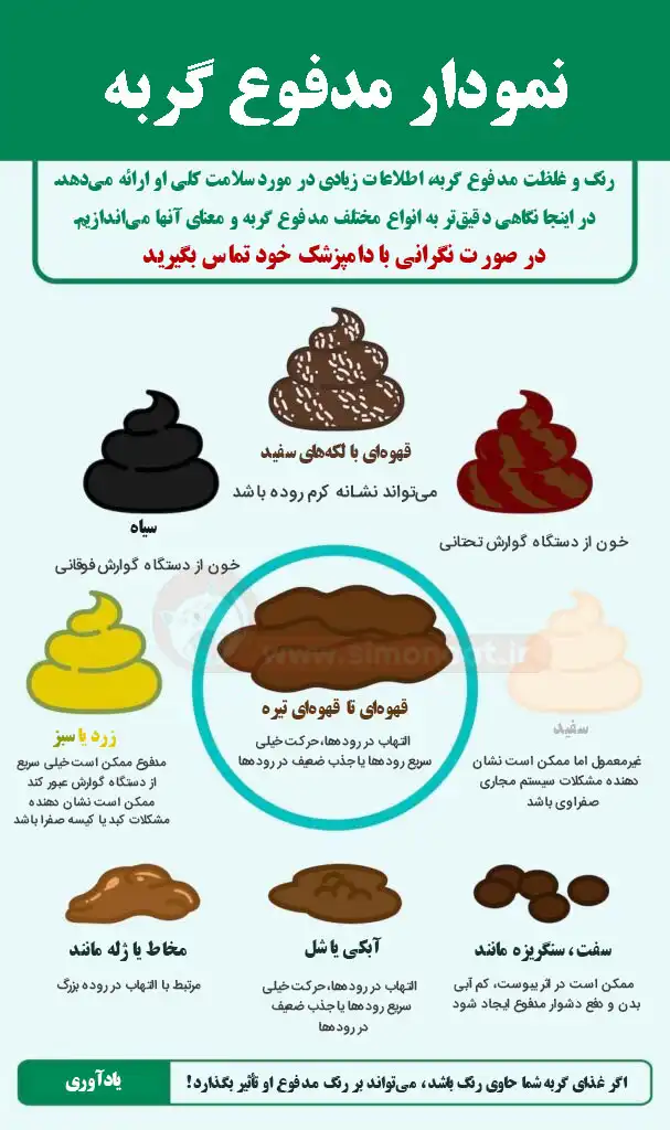نمودار مدفوع گربه