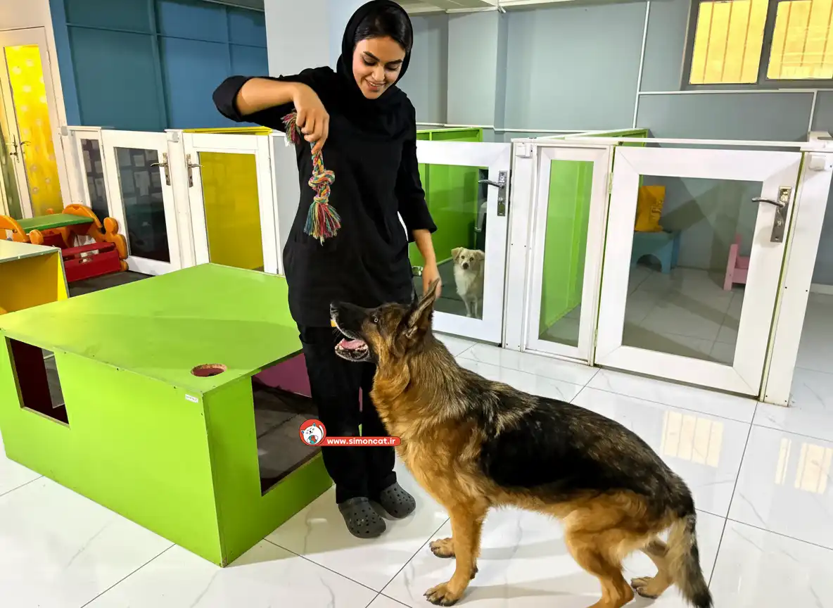 پانسیون حیوانات خانگی سایمون