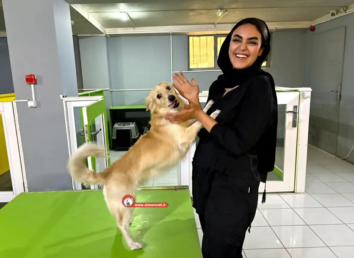 پانسیون سگ نژاددار با دوربین