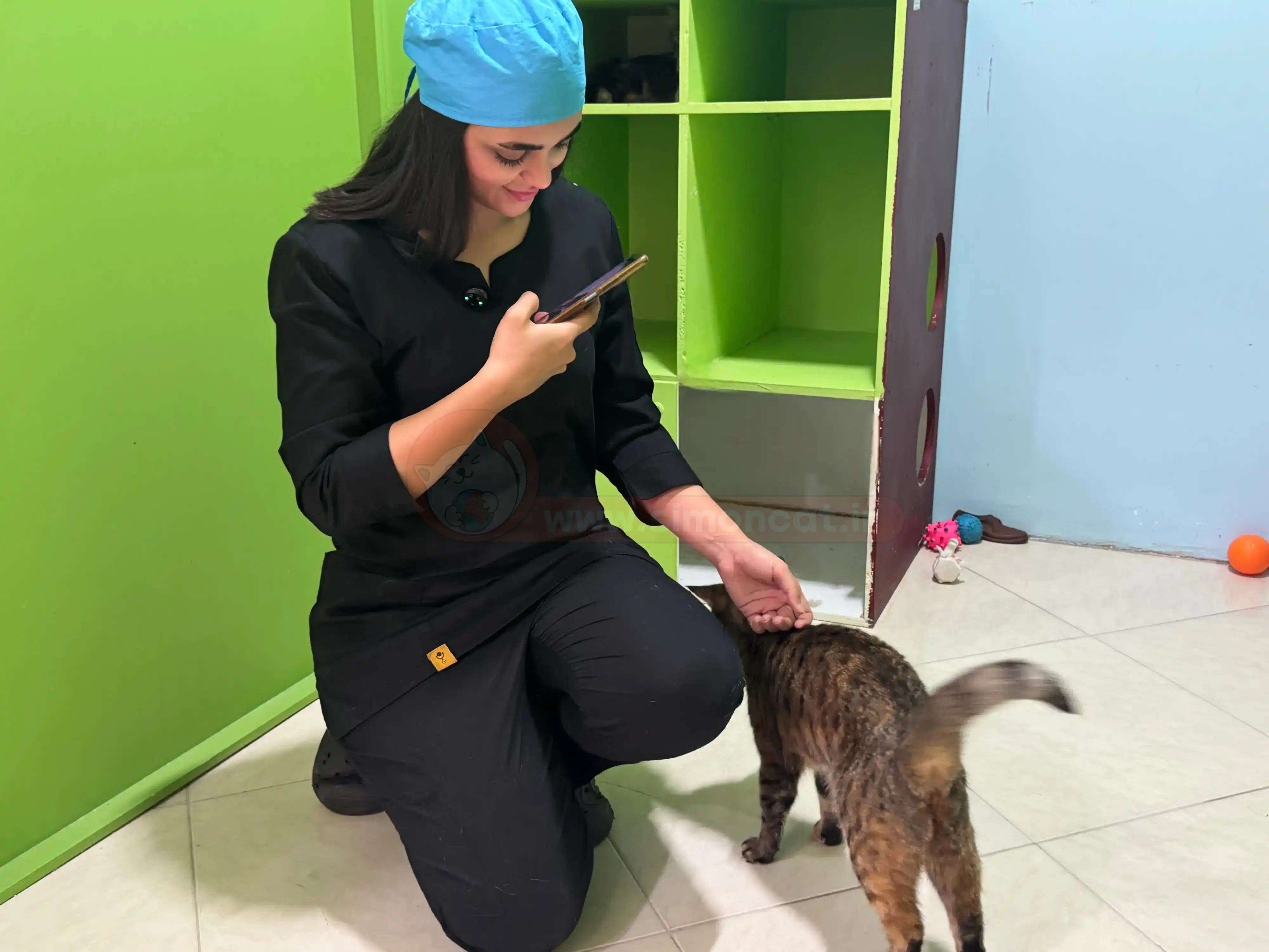 کارشناسان پانسیون