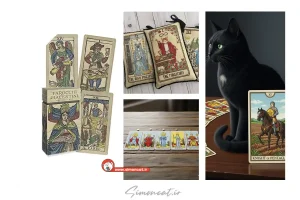 گربه در فال تاروت