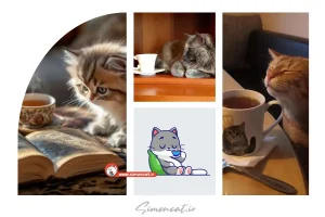 گربه در فال چای