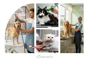 آرایشگاه حیوانات غرب تهران