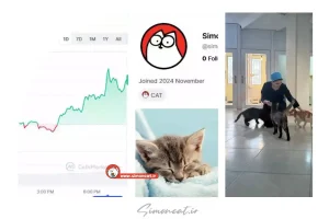 ارز دیجیتال سایمون کت (Simon's Cat) به ما تعلق ندارد!😊