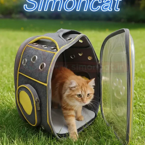 باکس گربه و سگ