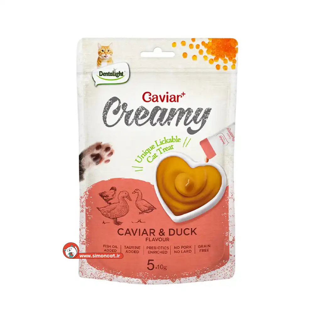 بستنی گربه دنتالایت