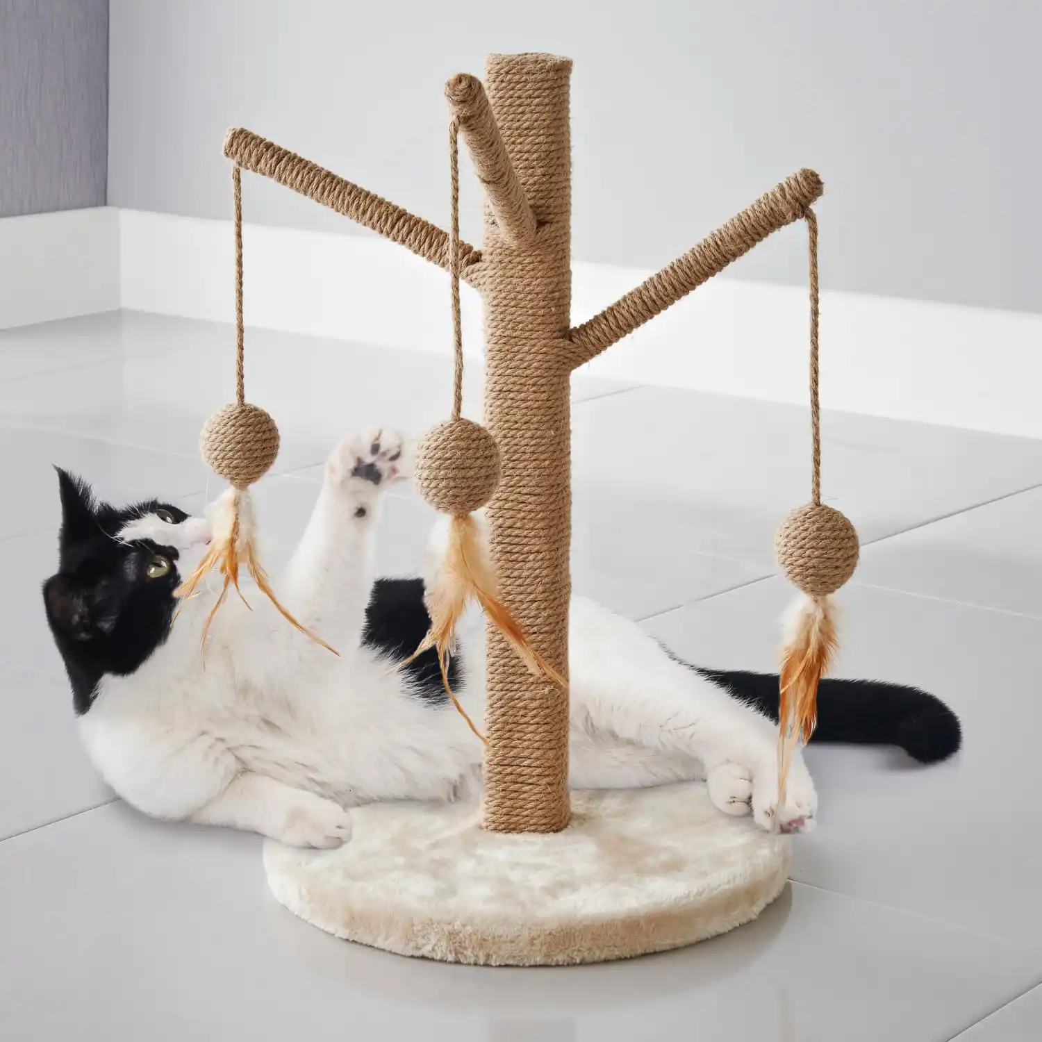 درخت گربه برای بازی
