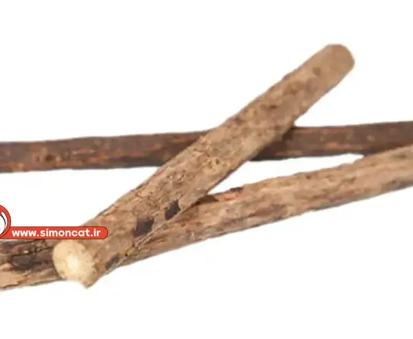 دنتال مدادی