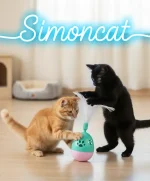 دو گربه در حال بازی با توپ تعادلی