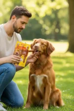 سگ در حال خوردن تشویقی