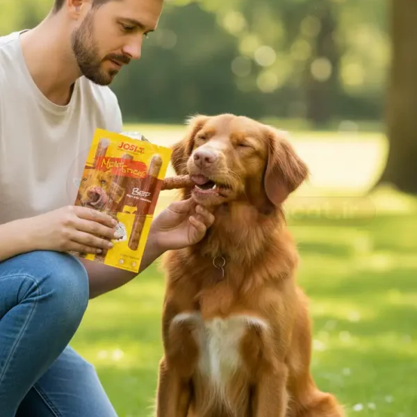 سگ در حال خوردن تشویقی