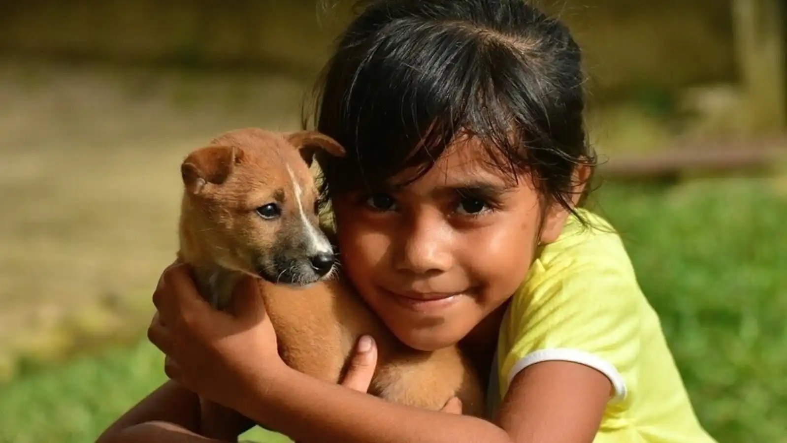 سگ کوچیک نژاددار