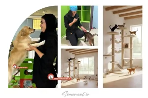 مشخصات بهترین پانسیون حیوانات خانگی در تهران