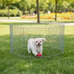 پارک بازی سگ