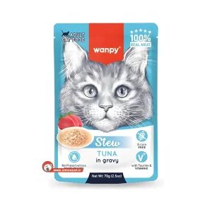 پوچ گربه خانگی