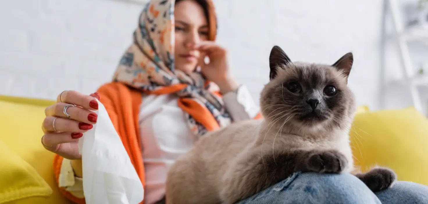 آیا سرماخوردگی گربه به انسان سرایت می کند؟