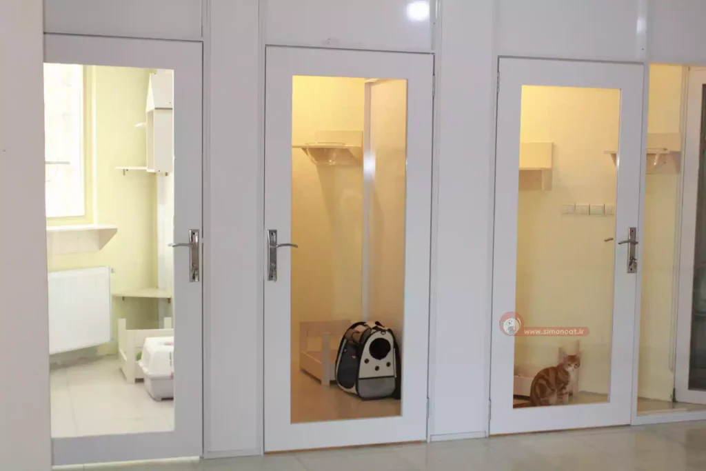 اتاق های مینیمال پانسیون گربه سایمون