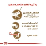 مزایای پوچ گربه