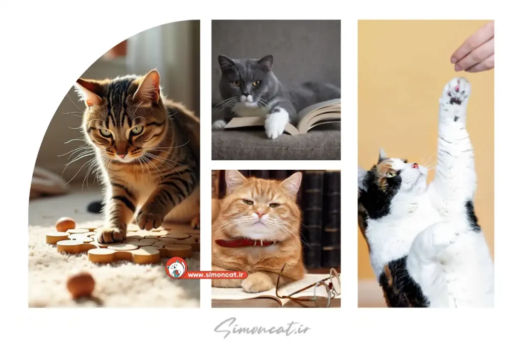 هوش گربه نسبت به انسان