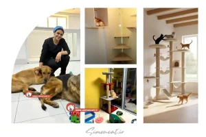 پانسیون حیوانات خانگی جنت آباد تهران