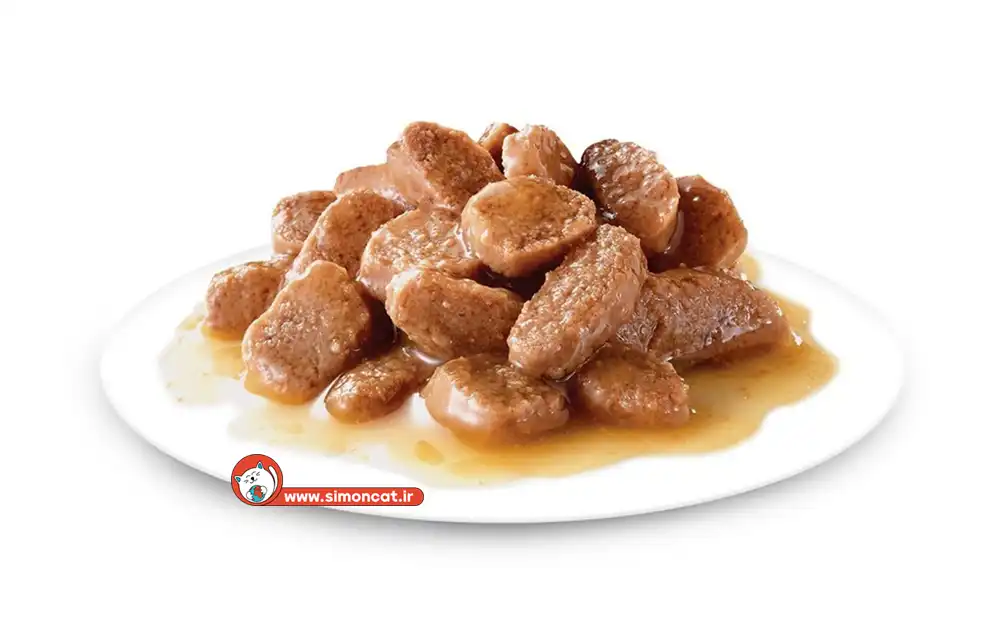 پوچ گربه خانگی سن بالا